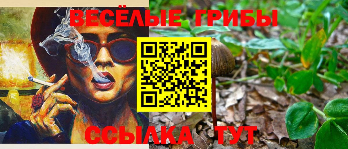 Галлюциногенные грибы Psilocybine cubensis  Псилоцибиновые грибы Psilocybe  где найти наркотики  Вход с VPN  Углич 
